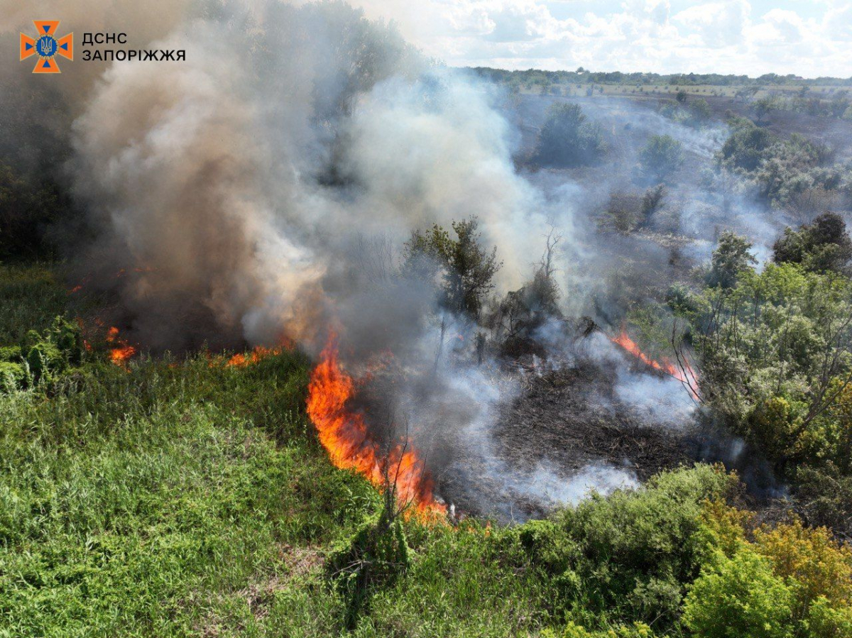 Складна місцевість та пориви вітру - у Запоріжжі ліквідували масштану пожежу на природі