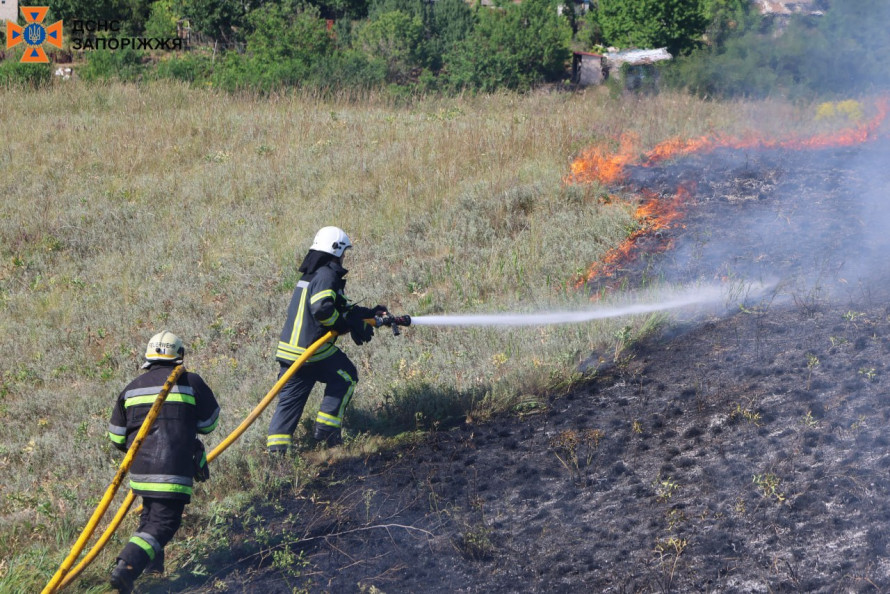 Складна місцевість та пориви вітру - у Запоріжжі ліквідували масштану пожежу на природі
