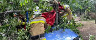 У Запоріжжі дерево впало на машину – знадобилась допомога рятувальників