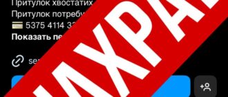 Відома запорізька зоозахисниця заявила про шахраїв, які збирають гроші від імені її притулку для тварин