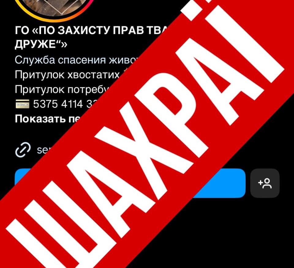 Відома запорізька зоозахисниця заявила про шахраїв, які збирають гроші від імені її притулку для тварин