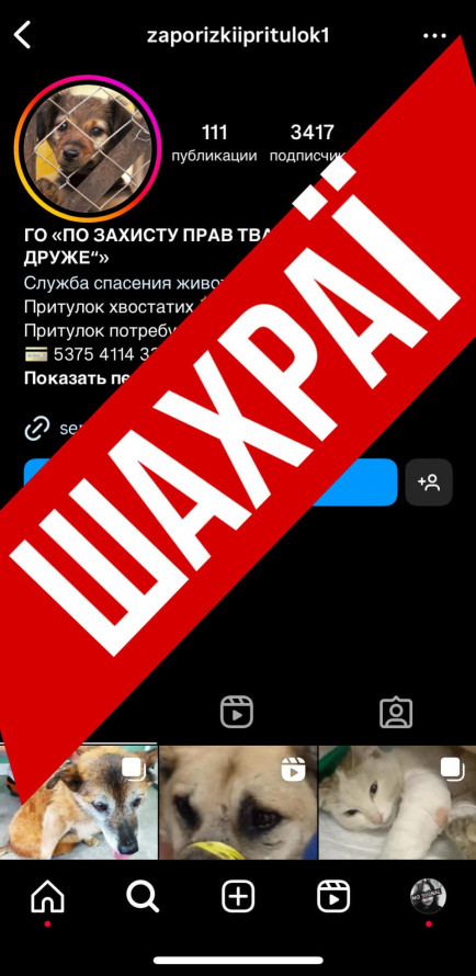 Відома запорізька зоозахисниця заявила про шахраїв, які збирають гроші від імені її притулку для тварин