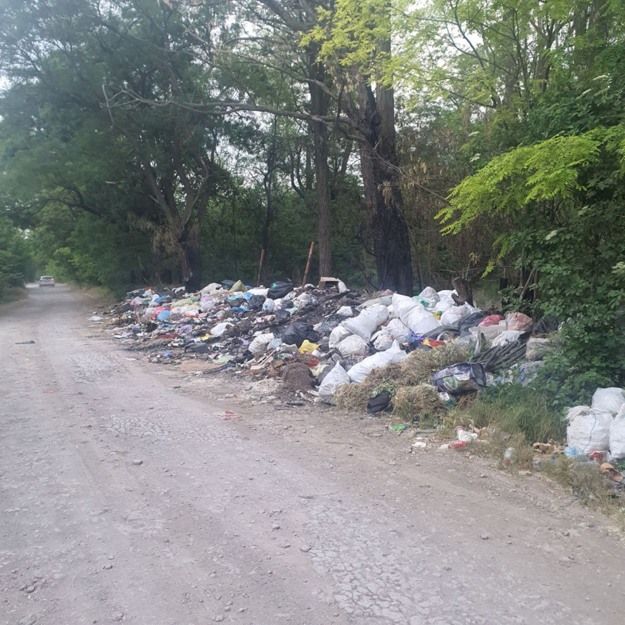 Вздовж автодороги в Запорізькій області утворилося велике сміттєзвалище (фото)