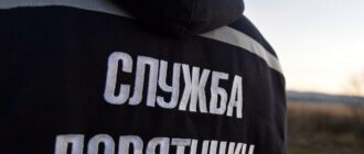 Застряг на висоті – у Запоріжжі рятувальники допомогли пухнастику