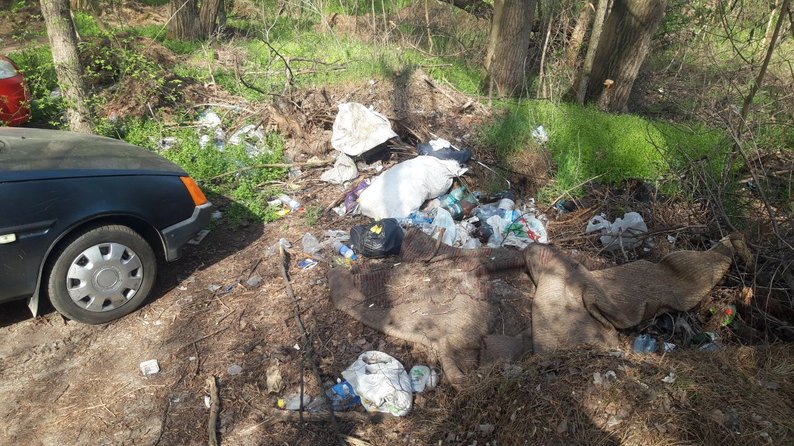 У Запорізькому районі екоінспектори виявили несанкціоноване сміттєзвалище