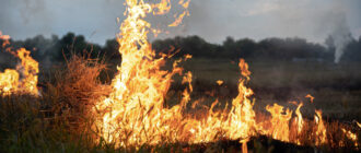 Через обстріли, спеку та недбалість людей – на Запоріжжі за минулу добу сталося 14 пожеж в екосистемах
