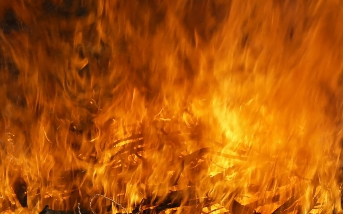 Через ворожі обстріли у Запорізькій області згоріла пшениця на полі - відео