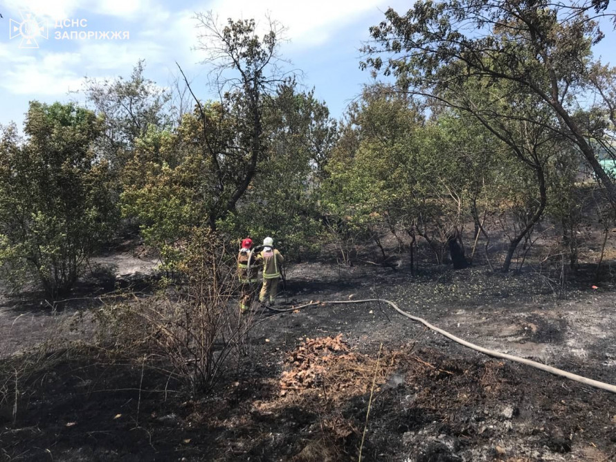 Через загоряння трави на дачах у Запорізькому районі згоріло вісім господарчих споруд - фото