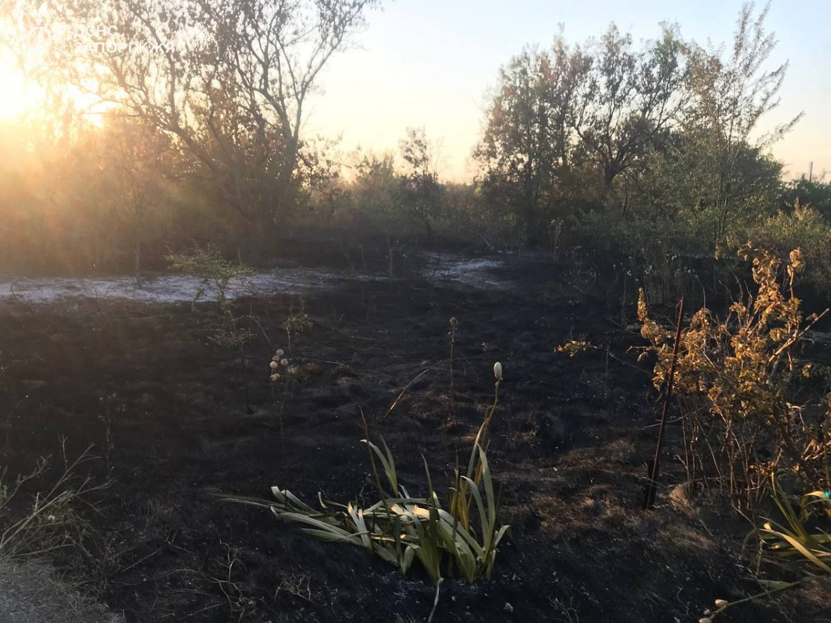 Через загоряння трави на дачах у Запорізькому районі згоріло вісім господарчих споруд - фото
