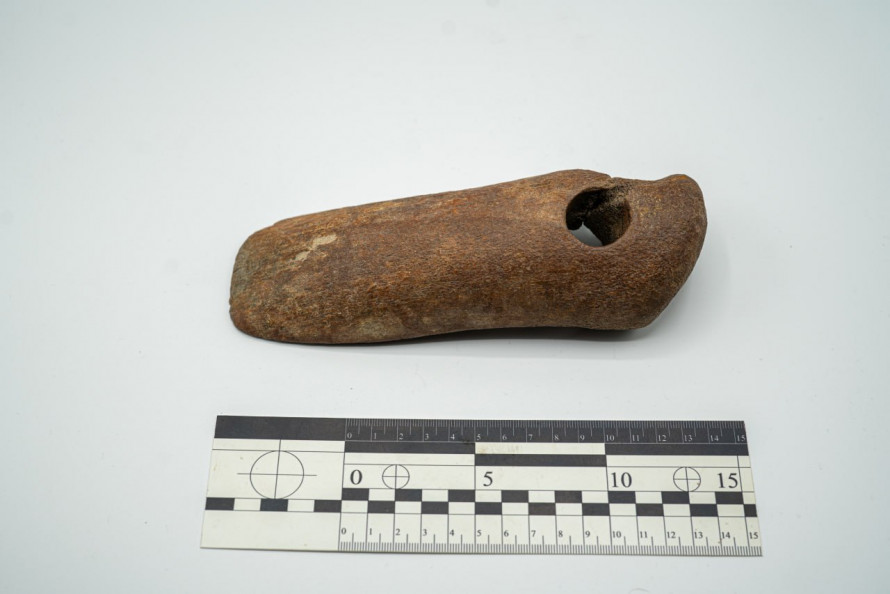 Давній артефакт - у запорізькому урочищі знайшли старовинну мотику (фото)