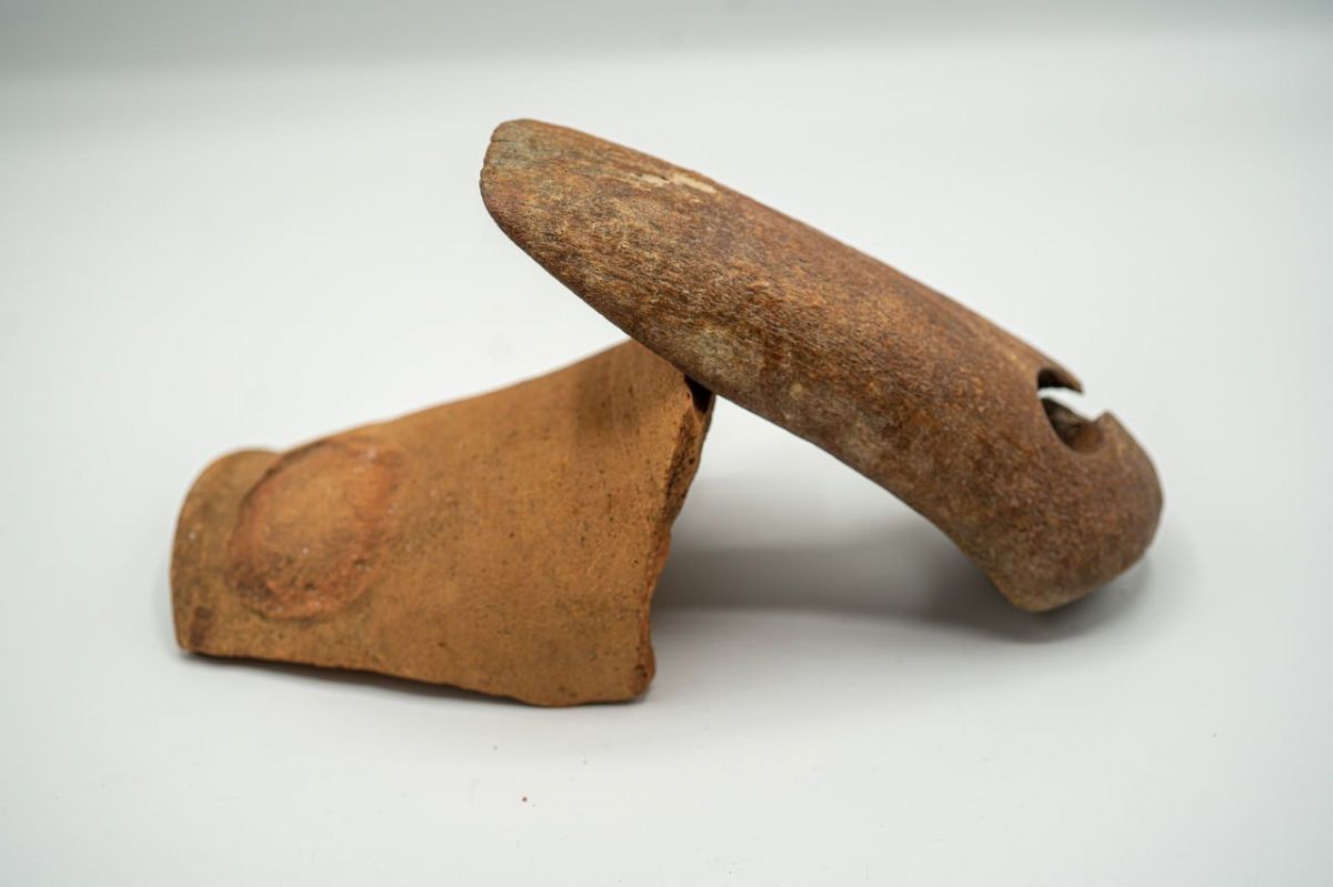 Давній артефакт - у запорізькому урочищі знайшли старовинну мотику (фото)
