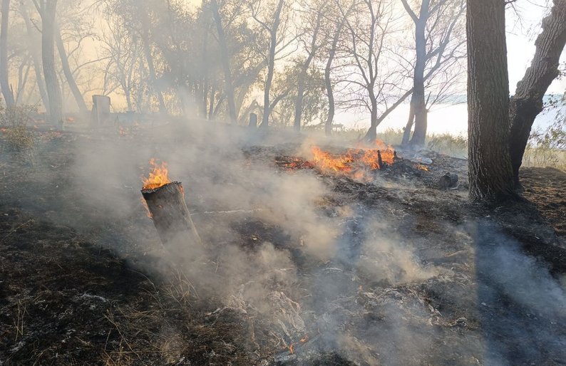 На Запоріжжі триває гасіння пожежі у плавневій зоні річки Дніпро