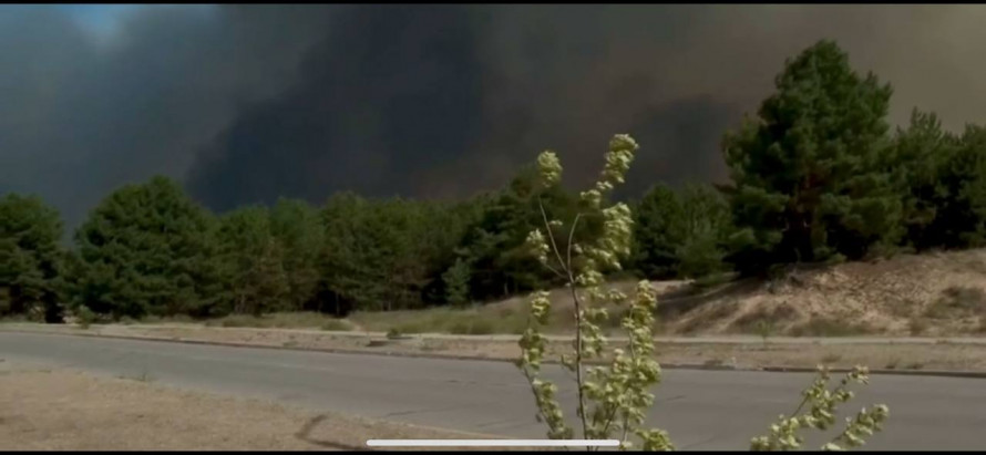 Енергодар у диму – поблизу міста в Запорізькій області вже третю добу палає лісопаркова зона (фото)