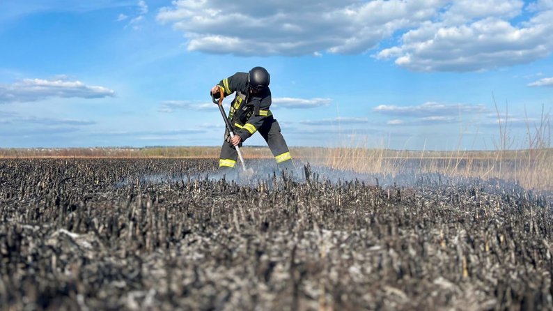 На Запоріжжі триває гасіння пожежі у плавневій зоні річки Дніпро