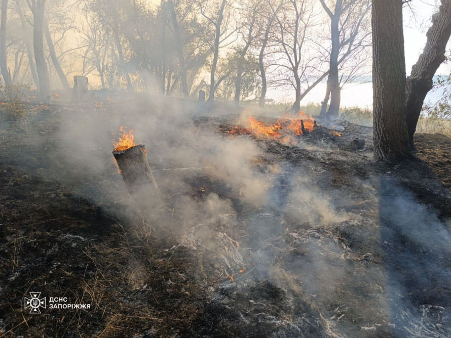 Гасять з обіду - у Запоріжжі зайнялася масштабна пожежа в плавневій зоні Дніпра (фото)