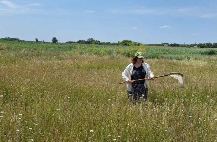 Карантин у Запорізькому районі – інспектори виявили на полях небезпечних комах
