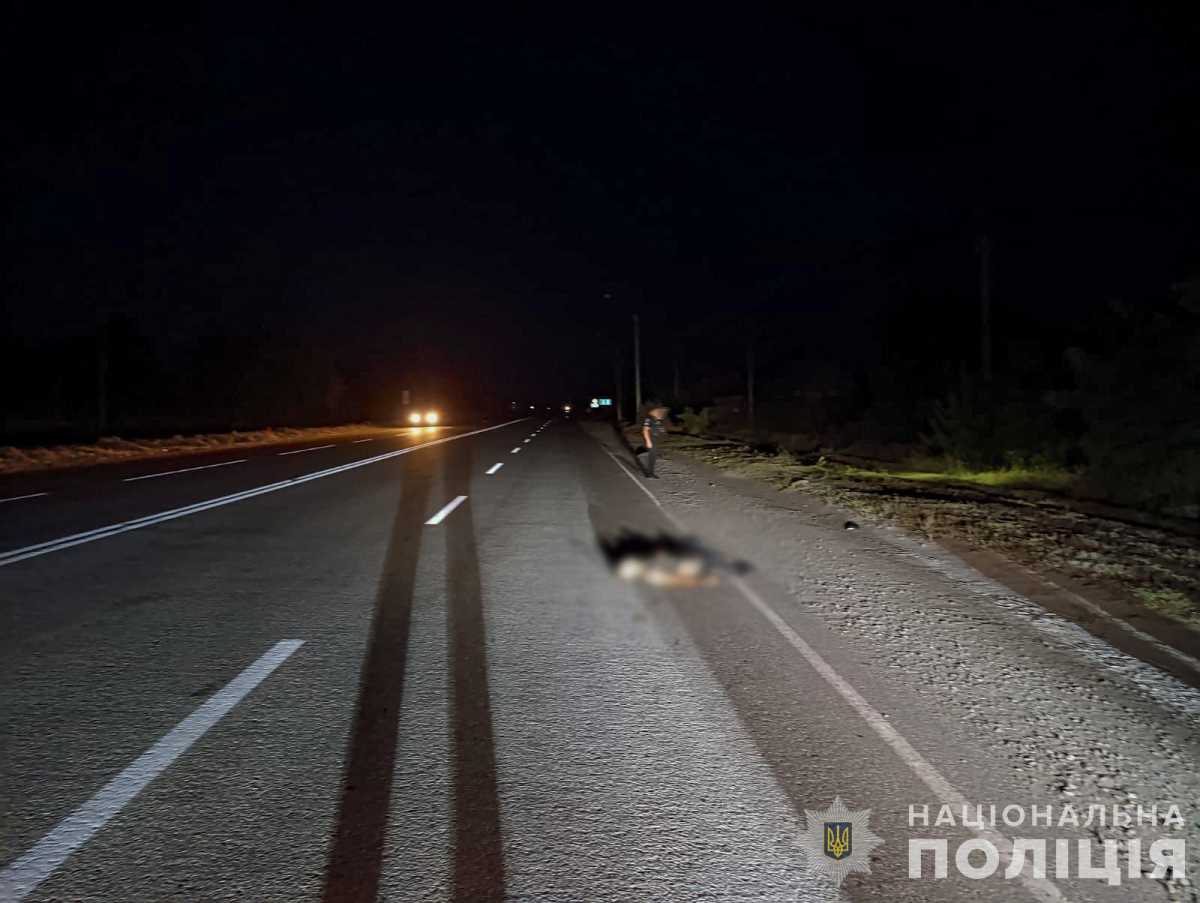 На трасі під Запоріжжям водій іномарки на смерть збив військового та втік з місця ДТП (фото)