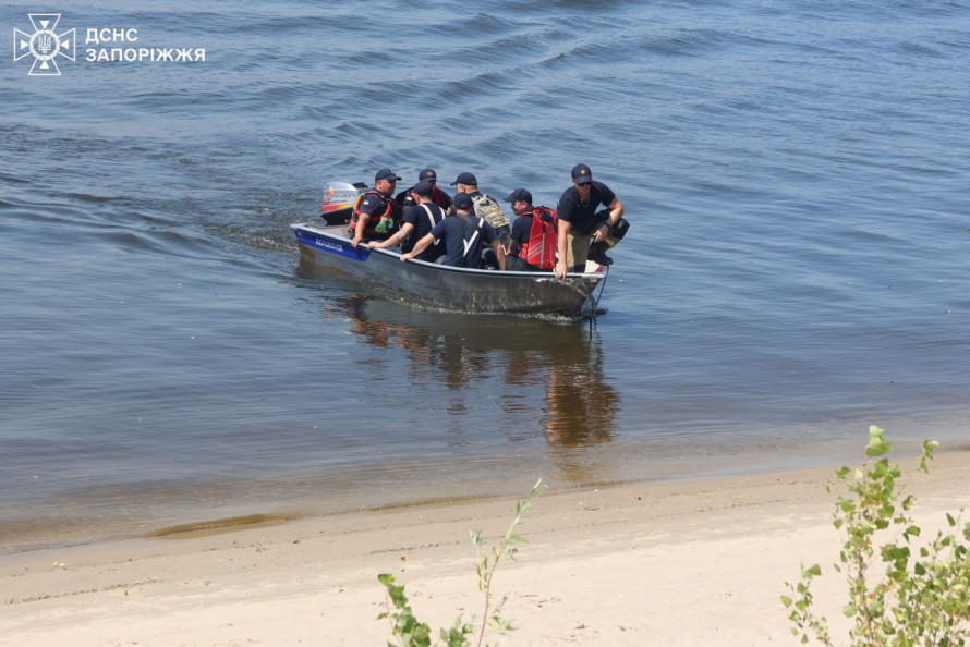 Під час пожежі на Хортиці надзвичайники врятували дику козулю (фото)