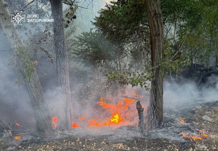 Пожеж у Запоріжжі стало набагато більше, ніж торік – у чому причина