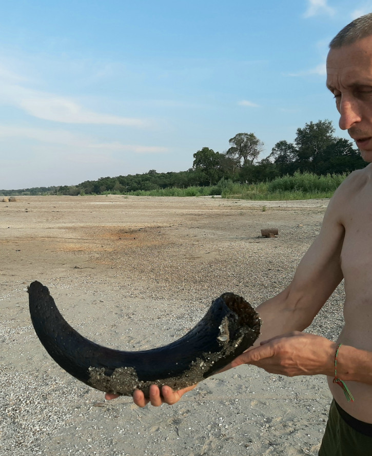 Пролежав тисячу років - на березі Дніпра у Запоріжжі знайшли ріг давньої тварини (фото)