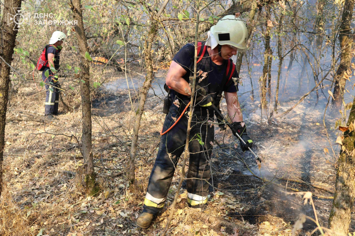 Рятувальникам вдалося загасити складну пожежу посеред річки Дніпро у Запорізькому районі - відео, фото