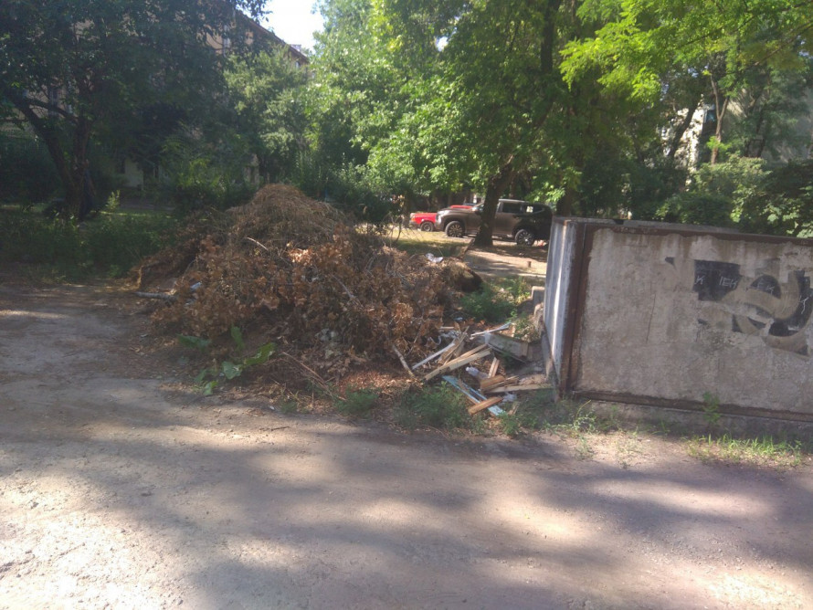 Сміття поміж будинками - у Запоріжжі виявили чергове звалище відходів (фото)