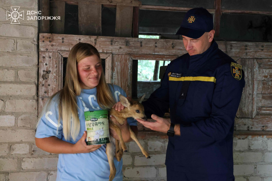 Тваринка лежала у згорілій траві нерухомо - надзвичайники розповіли нові подробиці про врятованих під час пожежі на Хортиці козуль