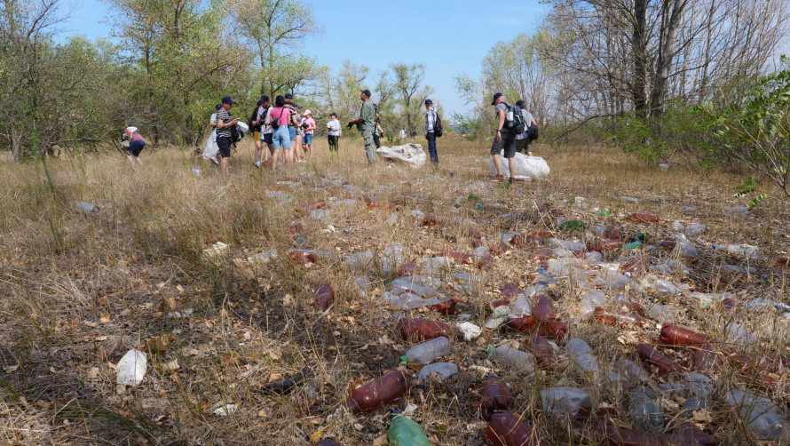 Велике прибирання - на Хортиці зібрали тисячі пластикових пляшок (фото)