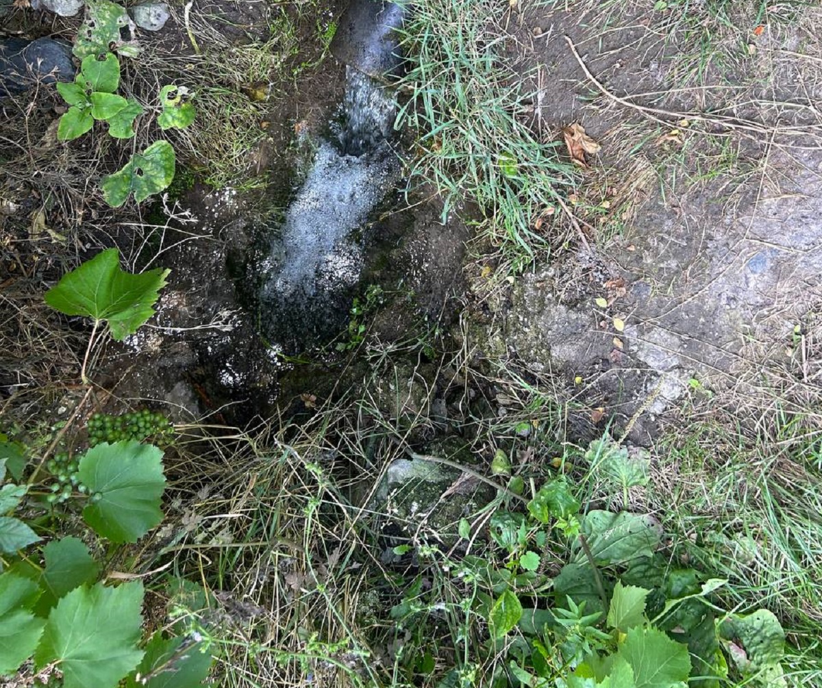 Запоріжці поскаржилися на виток невідомих речовин у річку Суха Московка - на місце виїхали екологи