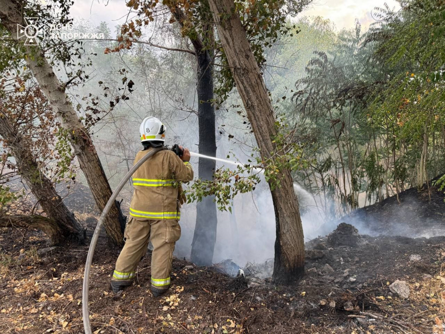 Збитки, випалені території та здоров'я людей - як часті пожежі впливають на стан повітря у Запоріжжі