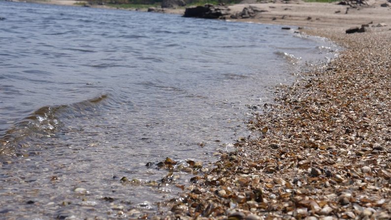 У Запоріжжі в обмілілому Дніпрі оголилися острови та коси, які були під водою 70 років: що відомо