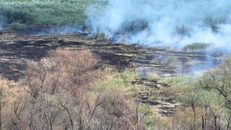 На Запоріжжі сапери ДСНС знешкодили три вибухонебезпечні предмети