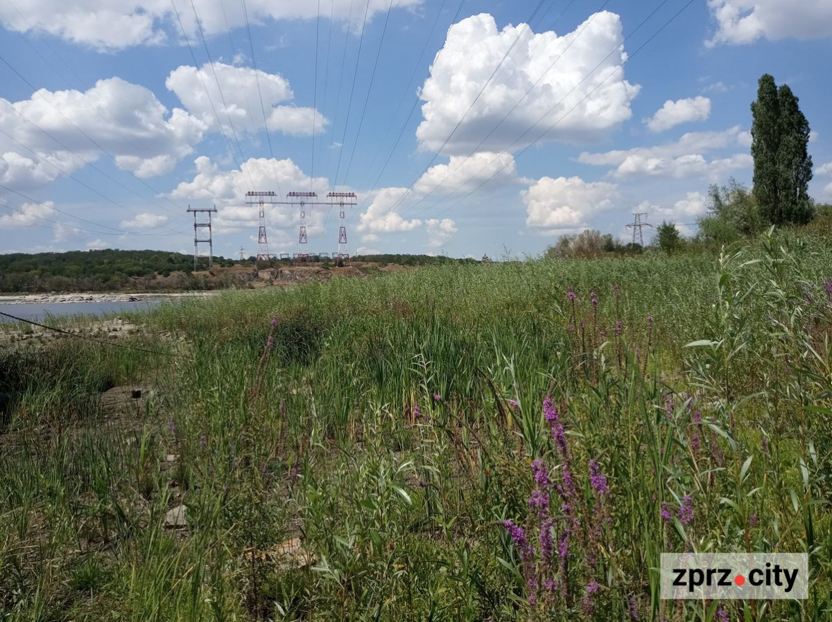 Дивовижні знахідки у Запоріжжі в урочищі Сагайдачного - як виглядає узбережжя Дніпра після падіння рівня води