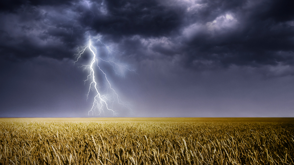 Дощі і грози – синоптики розповіли про погоду у Запоріжжі на найближчі дні