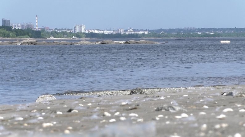 У Запоріжжі в обмілілому Дніпрі оголилися острови та коси, які були під водою 70 років: що відомо