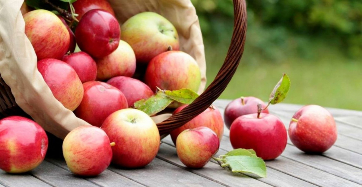 Готуємо шарлотку з яблуками за перевіреним рецептом - просто та смачно