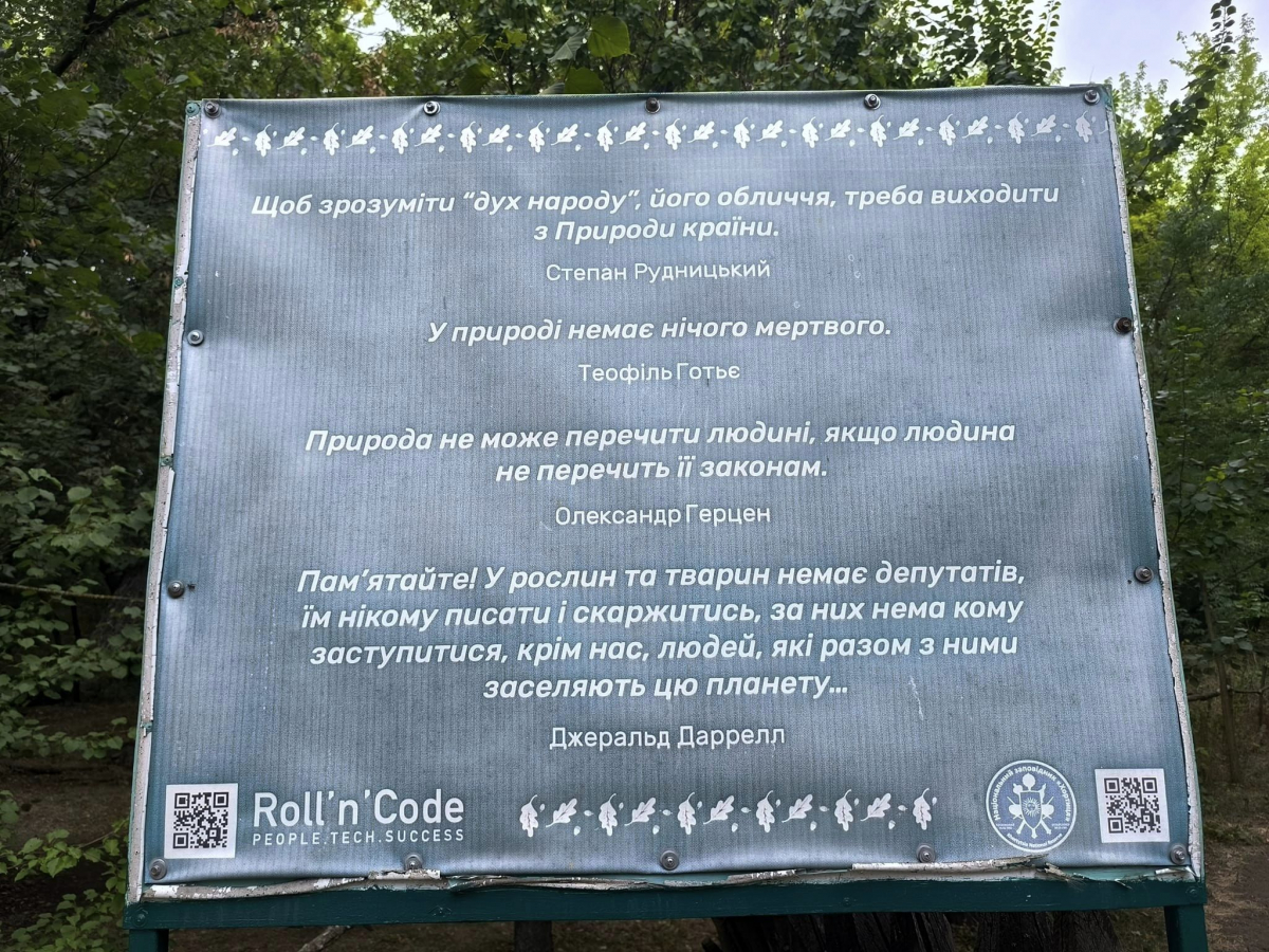 Плавні та Протовче - як зараз виглядає найзаповідніша частина Хортиці (фото)