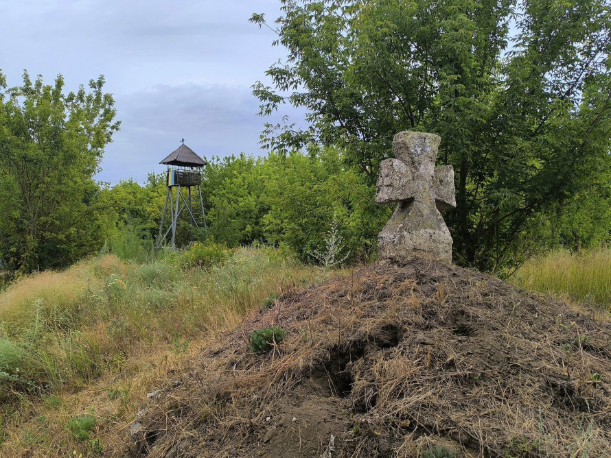 Плавні та Протовче - як зараз виглядає найзаповідніша частина Хортиці (фото)