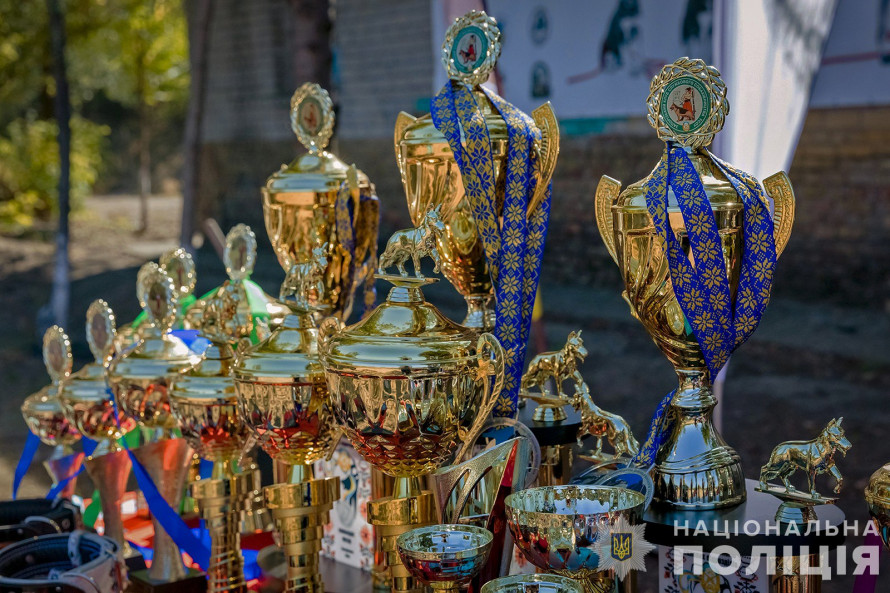 Змагання разом з чотирилапими напарниками - у Запоріжжі пройшов чемпіонаті серед кінологів силових струкур