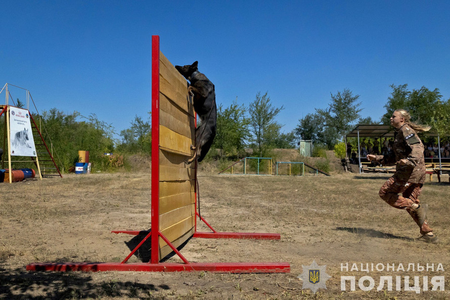 Змагання разом з чотирилапими напарниками - у Запоріжжі пройшов чемпіонаті серед кінологів силових струкур