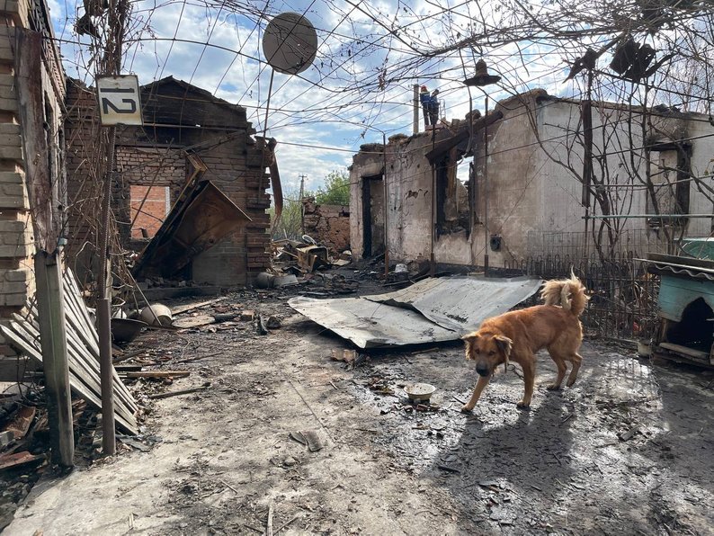 "Ми вибігли на вулицю. Тут все палало. Це було дуже страшно": що розповідають очевидці про атаку РФ по Комишувасі