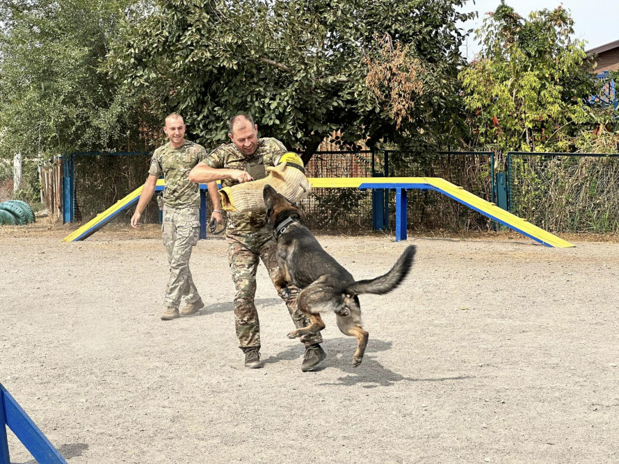 Чотирилапі друзі - як у Запоріжжі собаки допомагають військовим, що проходять реабілітацію (фото)