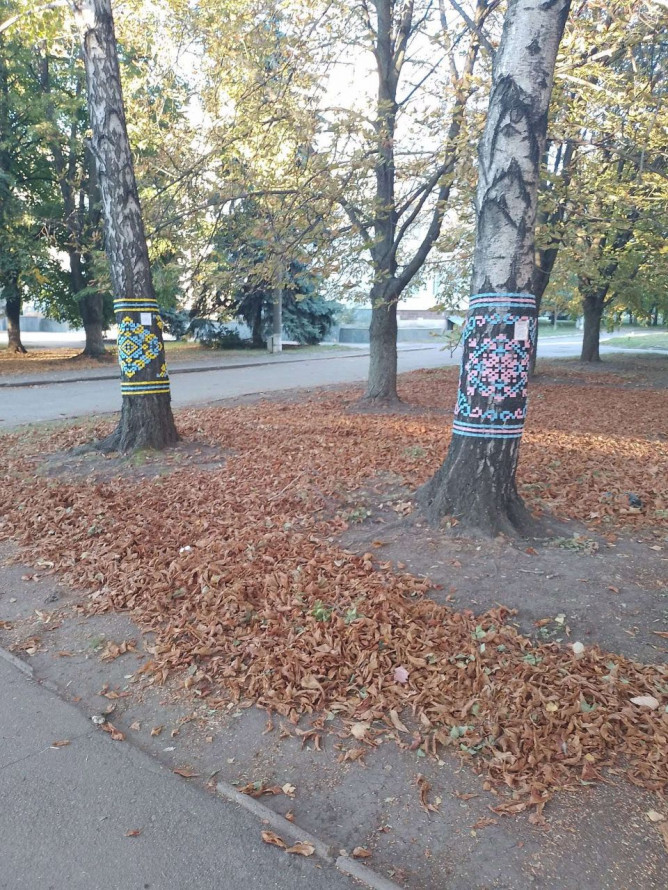 Дерева у центрі Вільнянська вдягнули у вишиванки (фото)