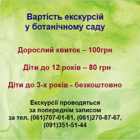 Неймовірна осіння краса - запоріжців запрошують на бал хризантем у ботанічний сад