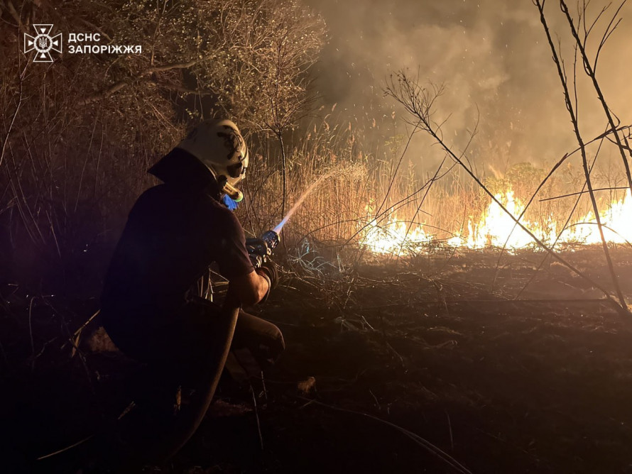 Приборкали вогонь - у Запоріжжі рятувальники загасили чотири пожежі в екосистемах