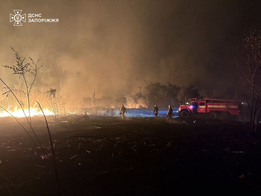 Приборкали вогонь - у Запоріжжі рятувальники загасили чотири пожежі в екосистемах