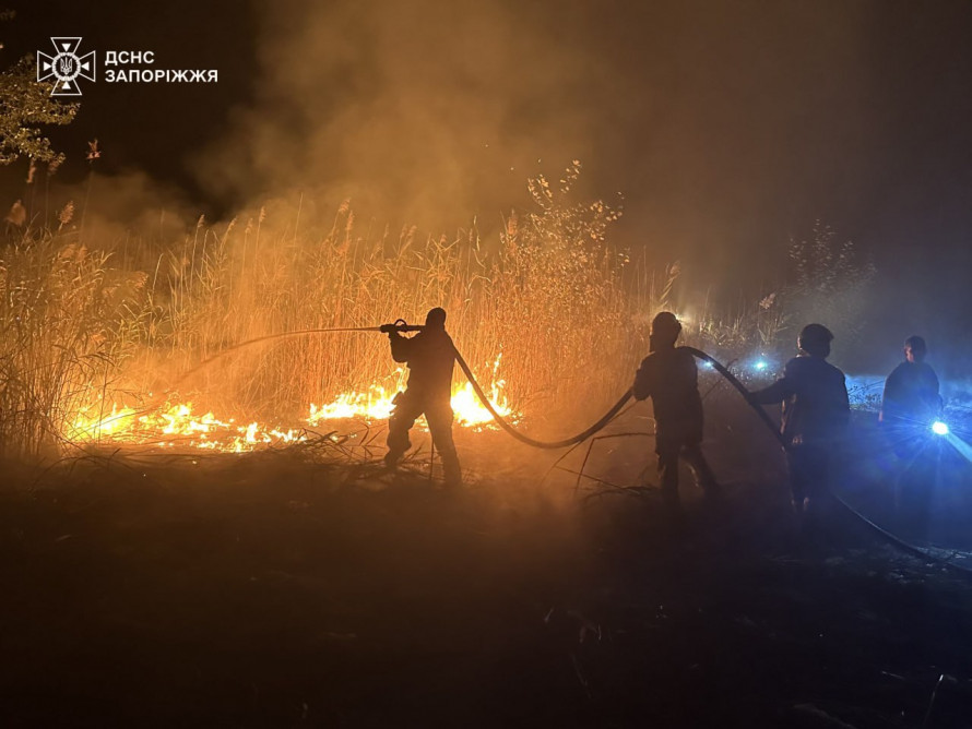 Приборкали вогонь - у Запоріжжі рятувальники загасили чотири пожежі в екосистемах