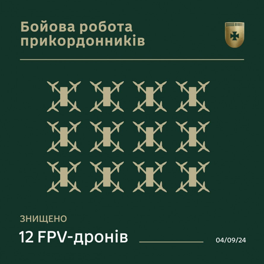 Прикордонники на Запоріжжі знешкодили дюжину ворожих "кажанів" (фото)