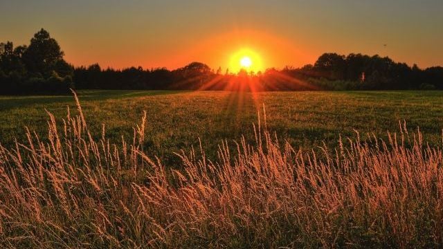 Тепло і без опадів – що прогнозують синоптики у Запоріжжі найближчими днями