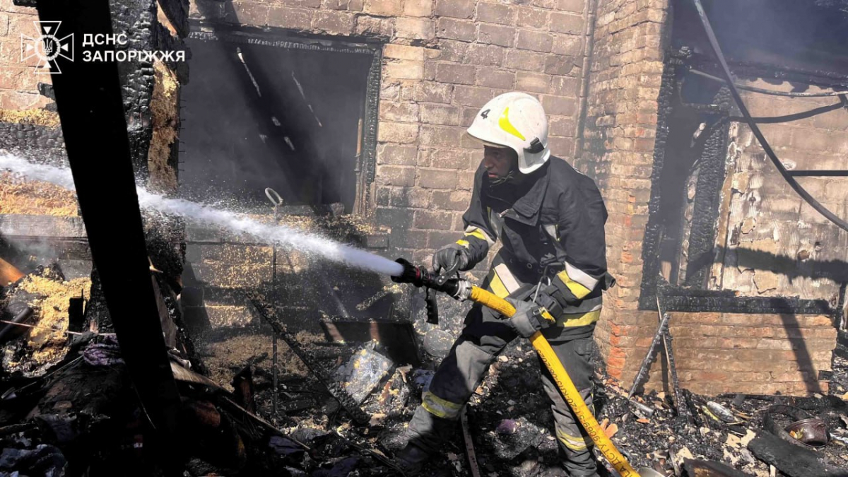 Врятували худобу - у Запоріжжі сталася пожежа у приватному секторі (фото)